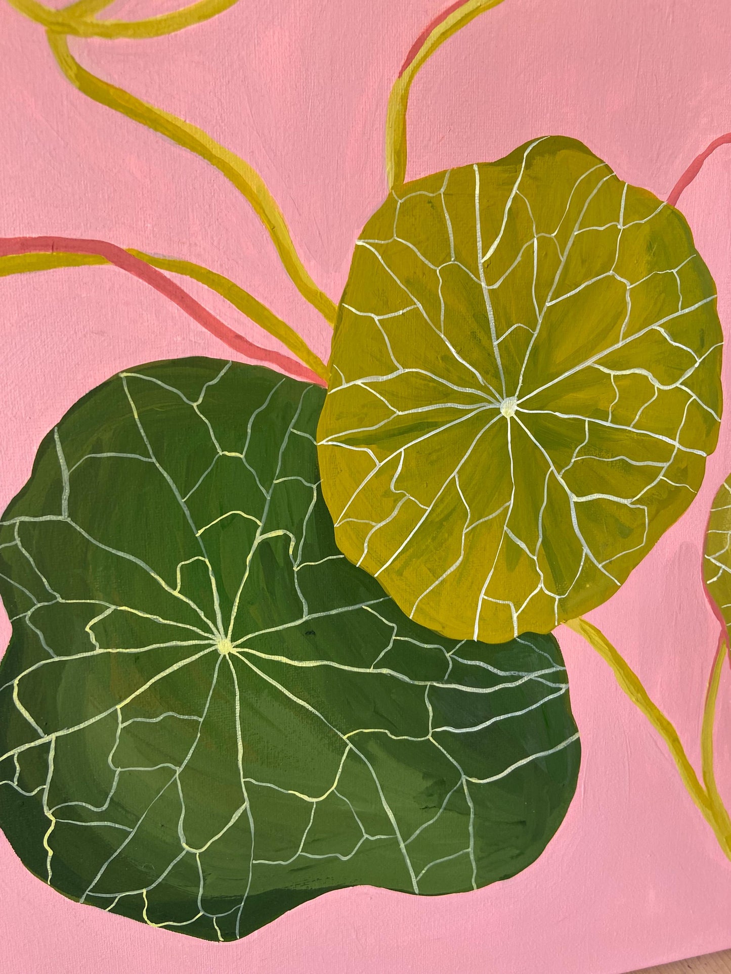 Original Nasturtium Painting on Canvas | Acrylic Gouache Floral Art