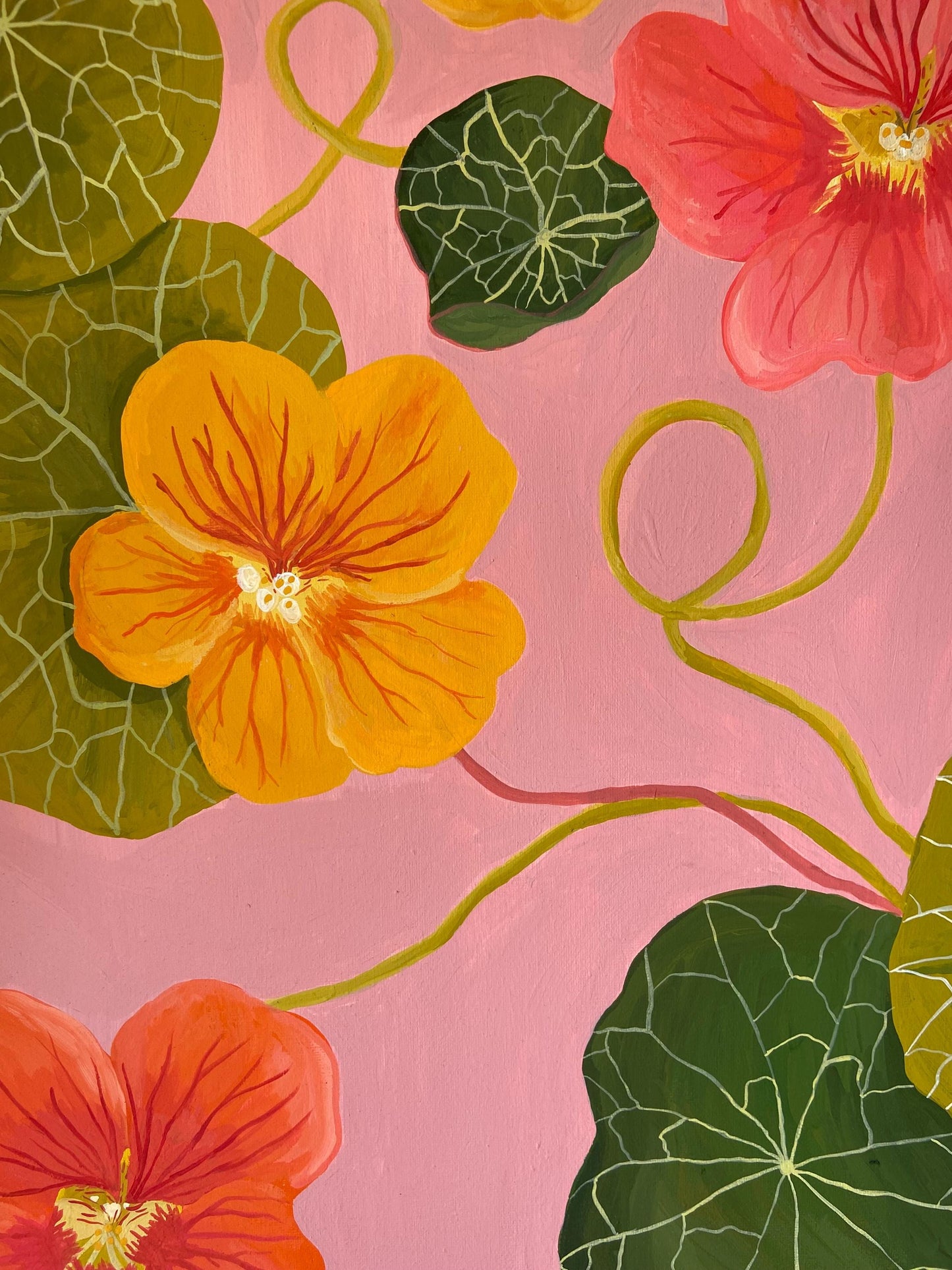 Original Nasturtium Painting on Canvas | Acrylic Gouache Floral Art