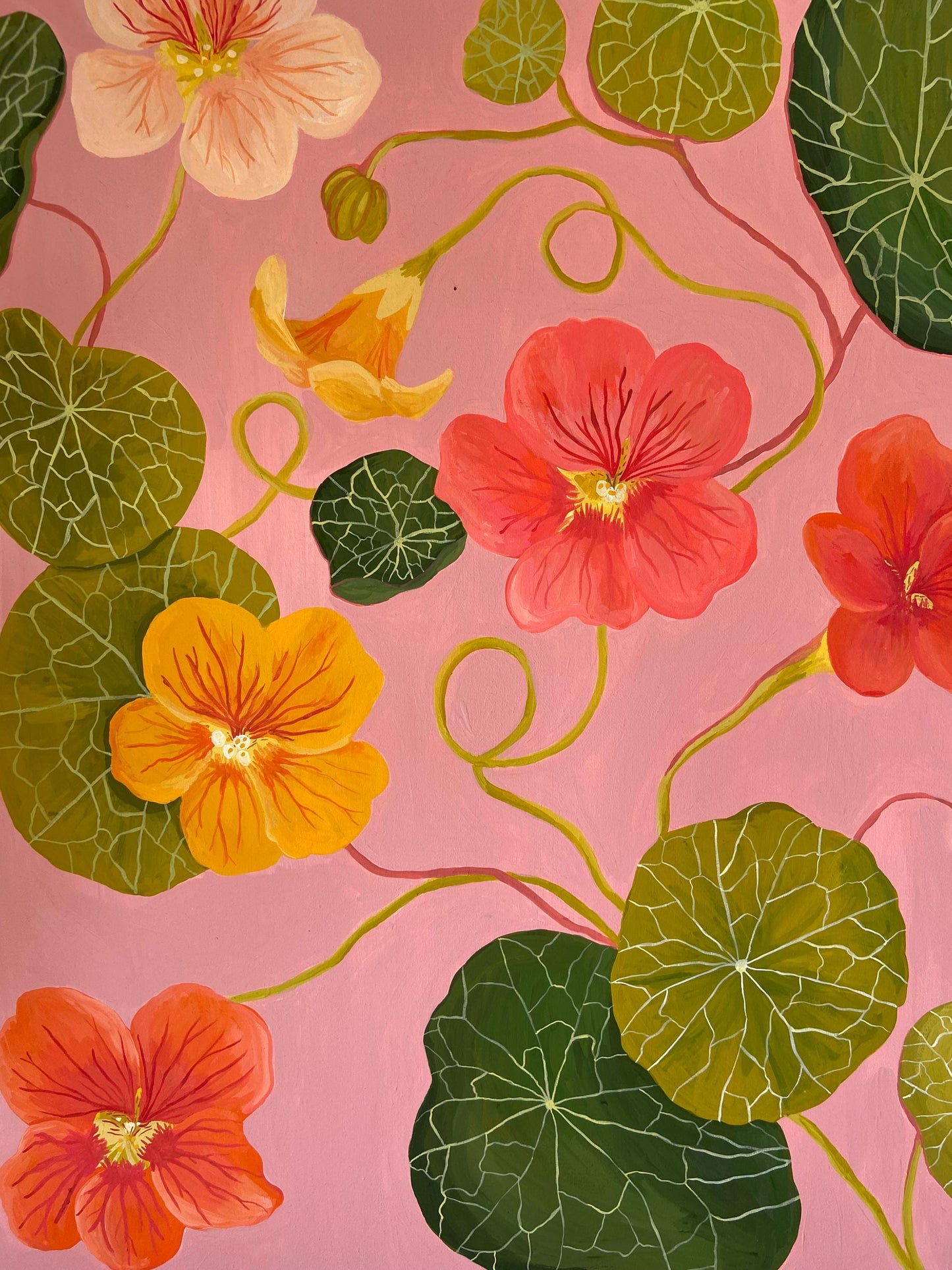 Original Nasturtium Painting on Canvas | Acrylic Gouache Floral Art
